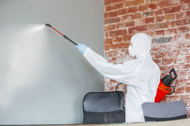 Best Mold-Related Health Consultation  in Whitesboro, NJ