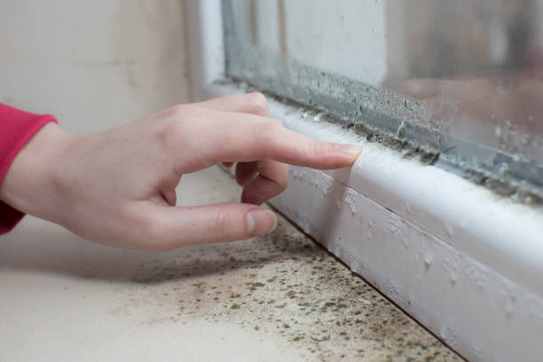 Best Crawl Space Mold Remediation  in Whitesboro, NJ
